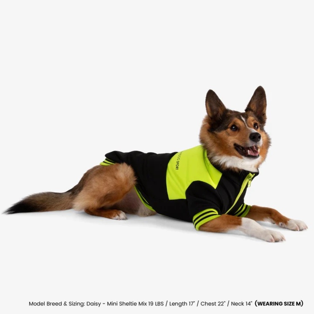 NANDOG PET GEAR  Dog Sport Jacket  Black/ Yellow Size : L - Picture 3 of 8
